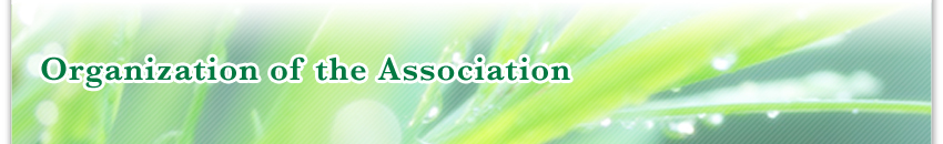 Organization of the association